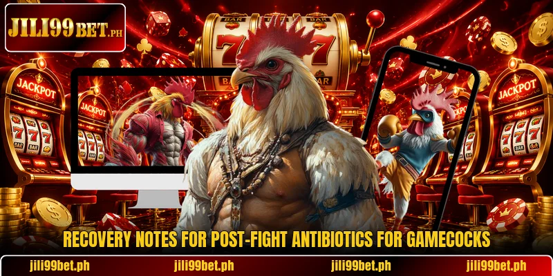 Recovery notes for post-fight antibiotics for gamecocks Recovery notes for post-fight antibiotics for gamecocks